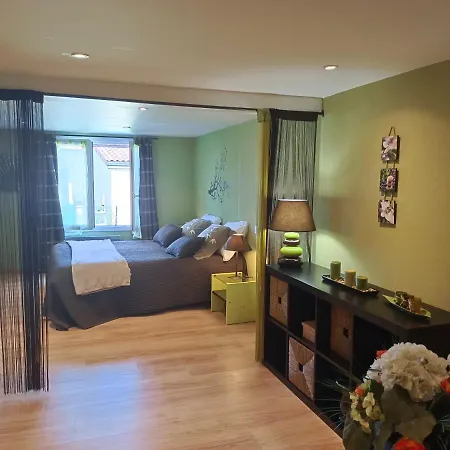 La Maison Des Roses Chadrac